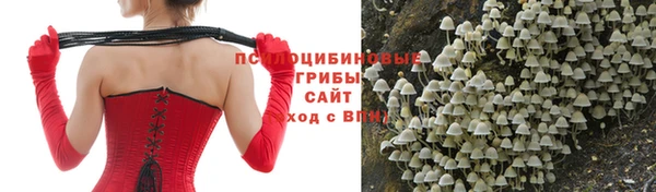 гидропоника Абдулино