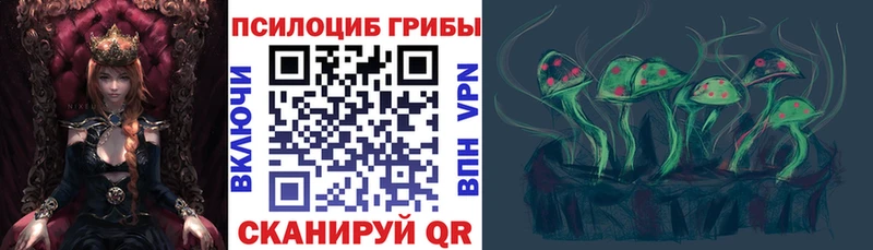 наркошоп  Миллерово  ссылка на мегу   Псилоцибиновые грибы Cubensis 